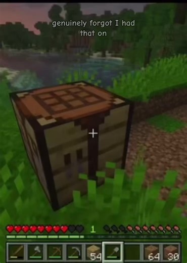 Genuine heart attack #minecraft#horrormod #mincrafthorror #fyp#minecraftfypシ