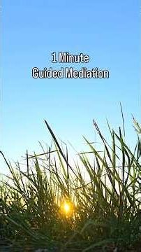 1 Minute Guided Meditation