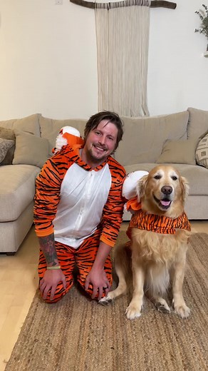 Adorable Halloween Costume Ideas for Dogs