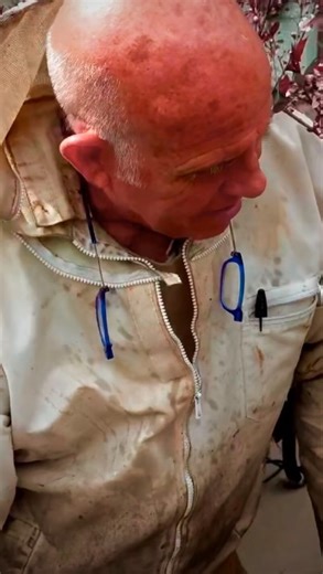 Homer's Honeybee | Utah Beekeepers on Instagram: "Swarm season happens fast — and for new beekeepers, it can feel overwhelming if no one explains what’s actually happening. A swarm forms when a colony is healthy, crowded, and ready to reproduce. The old queen leaves with thousands of workers while a new queen is raised behind her. When a swarm lands, they’re temporary. They’re full of honey. They’re calm. And they’re searching for a new home. Catching a swarm isn’t about chasing bees or taking r