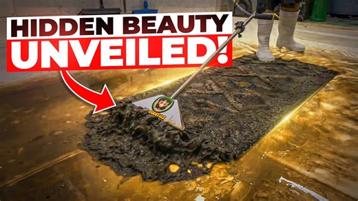 I can't believe this rug transformation! 🎉