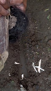 1.7M views · 10K reactions | Making fire this afternoon #fireskills #survival #bushcraft #frictionfire #bowdrill #firepiston #fireplow #firesaw #handdrill | dalemgumino | Facebook