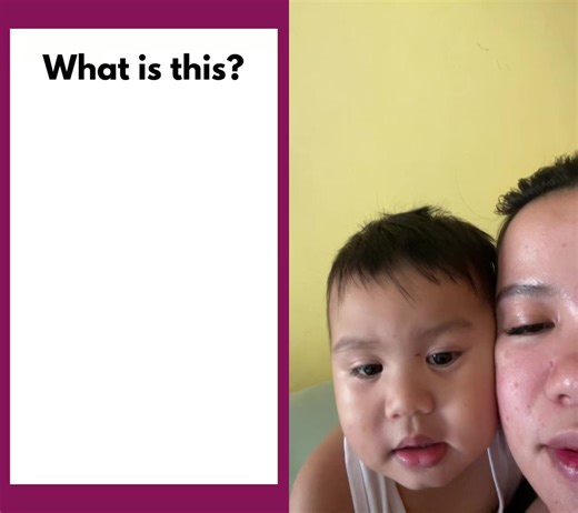 Exploring Vocabulary with Vehicles