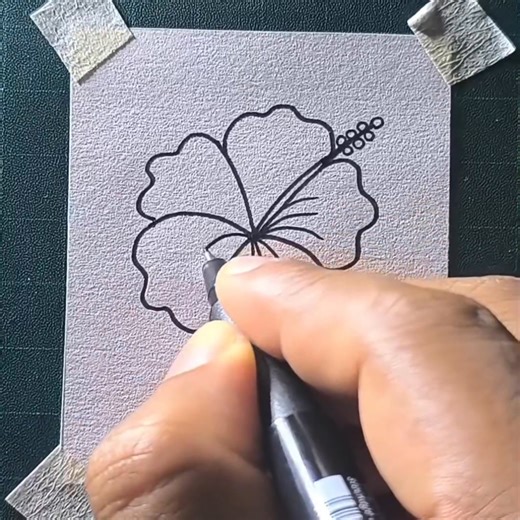 How to draw a Hibiscus flower | All About Art