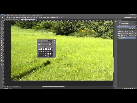 [Tuto-Photoshop] Le tampon de duplication