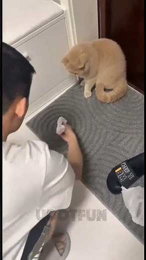 Top Funniest😂 Random Clips #funny