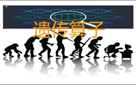 【遗传算法】4-遗传算子选择交叉变异