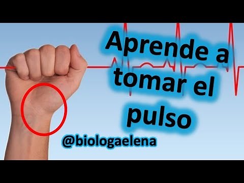 Medición pulso - Frecuencia cardíaca