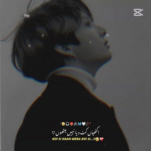koi si hn meri koi si🥺💔🥀🖤💯🍂😢#jeon jungkook #jungkookedit #wastsappstatus