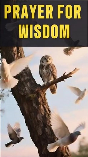 Prayer for Wisdom, Discernment, and God’s Guidance