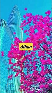 #المصحف #المصحف #islamicscripture #duet #muslimcommunity #القزابري #اكسبلور