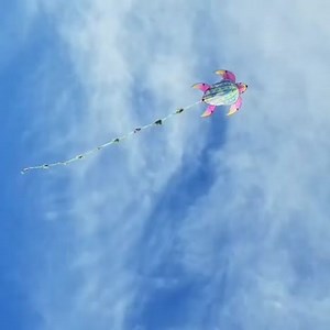 30 reactions | Awesome GIF by @clippedbythesun, feat. our turtle kites against a perfect blue sky  #socialdistancing #kiteflying #kite #wednesday #wednesdaywellness #healthyme #healthyliving #activelearning #turtles #sky #toys #staycation #stayhealthy #quarantinegames #kidsfirst #parenthood | X Kites | Facebook