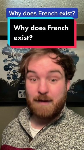 Lite Linguistics on TikTok