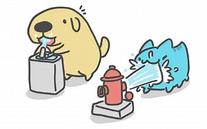 笨笨的可爱咖波_哔哩哔哩_bilibili