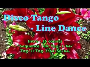 Disco Tango ( By - Jennifer Jou ) - Line Dance - 迪斯可探戈