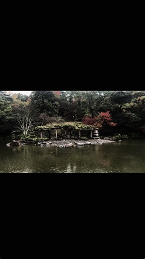 Fables (@fables.for.the.un)’s videos with original sound - ❀