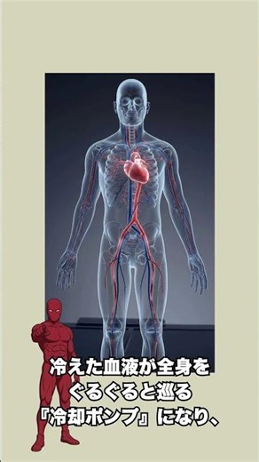 [THE ULTIMATE] Zero Summer Fatigue & Exhaustion! Japan Self-Defense Force Style "Core Body Temper...