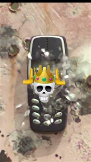 iPhone VS Nokia 3310