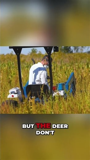 Mow Your Hunting Lanes! Unlock Better Deer Hunting Views! 🦌🌿 | Whitetail Fix