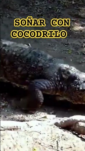 Significado de soñar con cocodrilos, cocodrilo, soñar con reptiles