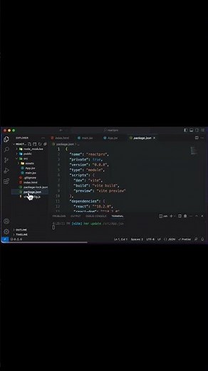 What is vite.config.js and package.json ? #reactjstutorial