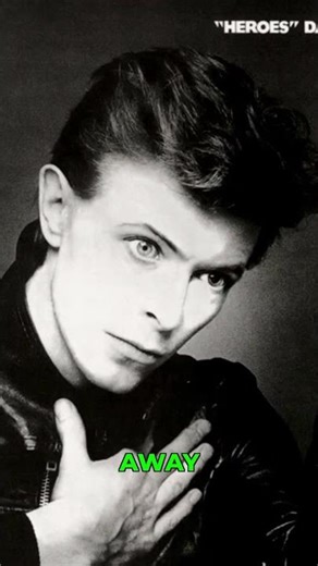 David Bowie Heroes Bass Cover #shorts