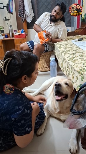 Oru kiss Chottu🤌😚 | Mr. Chottu