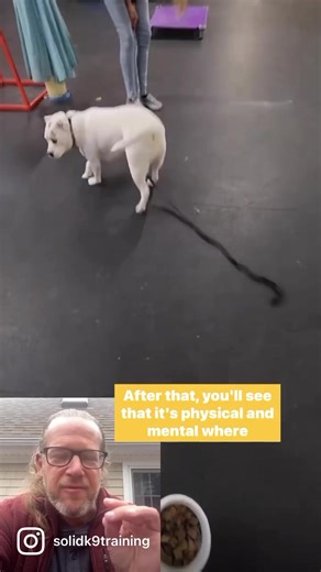 1.5K views · 42 reactions | The out command is one of the most...