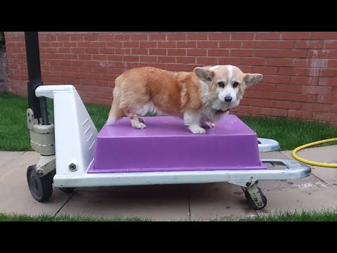 Repairing a Crown Manual Pallet Truck PTH50