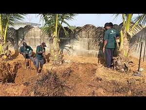 How to Relocate Coconut Trees? | Tree Transplantation Expert India | Best Plant Nursery in Kerala