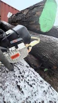Stihl 460. #woodworking #chainsaw #treecare #logger #treefelling #woodcutting #treework #arborist