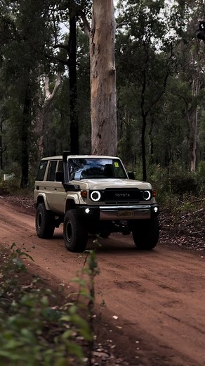 Exploring the Natural Habitat in a Toyota Land Cruiser 76 Series