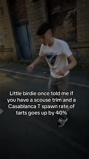 Casablanca T Spawn Rate with Scouse Trim Insights