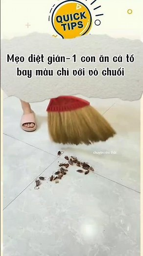 Cockroach extermination tip - one cockroach eats the whole nest, making them disappear with just ...