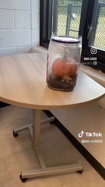 Holmium's Atomic Number and Its Significance