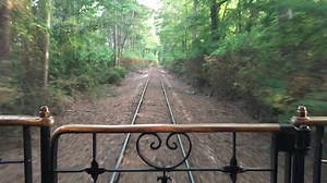 3.1K views · 203 reactions | Peaceful sounds of the rails aboard the Texas State Railroad. Excursions now departing Palestine weekly. Find out more at www.texasstaterailroad.net | Visit Palestine, Texas | Facebook