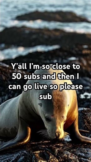 I didn’t know what to do for the video so don’t judge