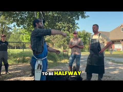 Skinning, gutting, splitting a cow. The three processes. Each is done at three elevations.