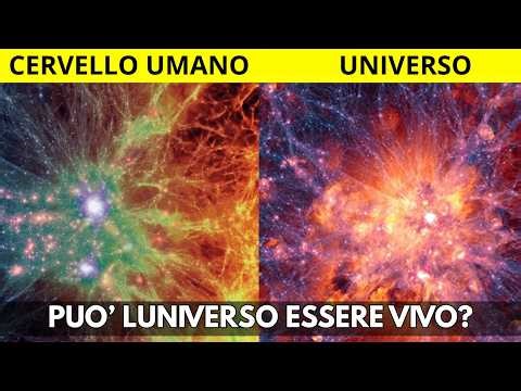 Studio Shock: Universo e Cervello Hanno la Stessa Struttura | Siamo Pensieri?