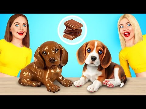 Real Food vs Chocolate Food Challenge! Funny Food Moments at Edible Battle