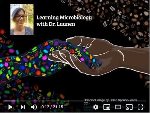 Bacterial virulence factors an introduction