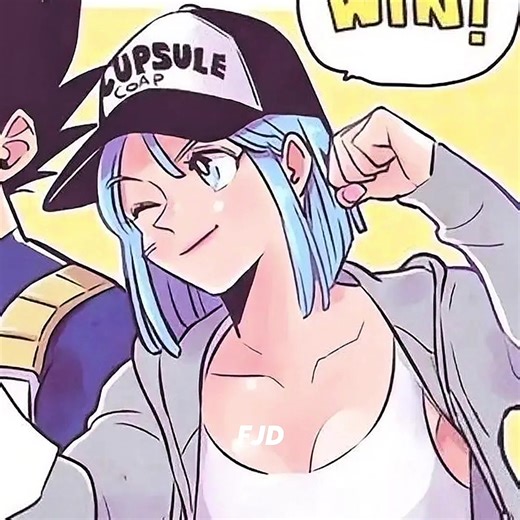 Bulma and Vegeta: The Best Dragon Ball Ship