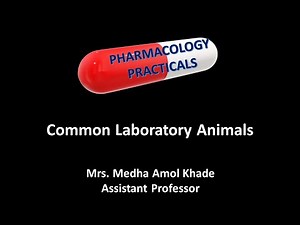 Common Laboratory Animals