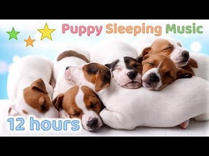 ☆ 12 HOURS ☆ Puppy Sleeping Music 🐶 ♫ Dog Relaxation ☆ Relaxing dog music ♫ Dog Sleep Music ☆