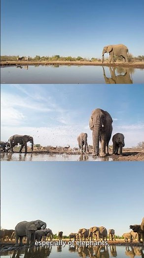 Inside Africa’s Photographic Hides