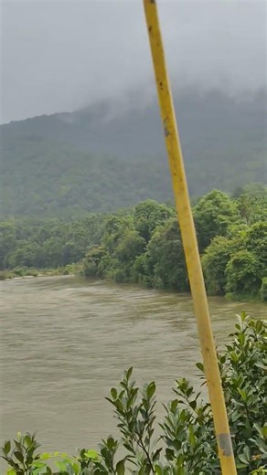 kalasa hanging bridge #kannadavlogs #trending #trendingreels #kannadainformation
