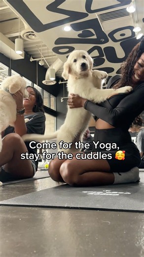 Your sign to try Puppy yoga 🧘🏾‍♀️