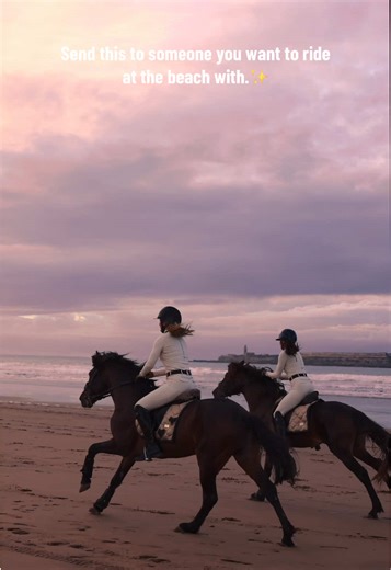 Beach Riding with Horses: Experience Equestrian Luxury
