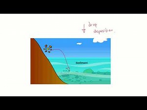 Lesson 3 Changes in Landscapes Over Time