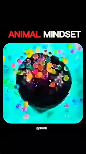 4 animal mindset to lern anything | 🗿📈 | #shorts #shortfeed